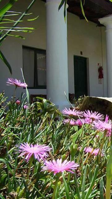 Lo De Penalba Bed and Breakfast Cafayate Exterior foto